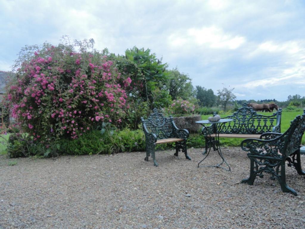 Manoir De La Branche Bed & Breakfast Maen Roch Екстериор снимка