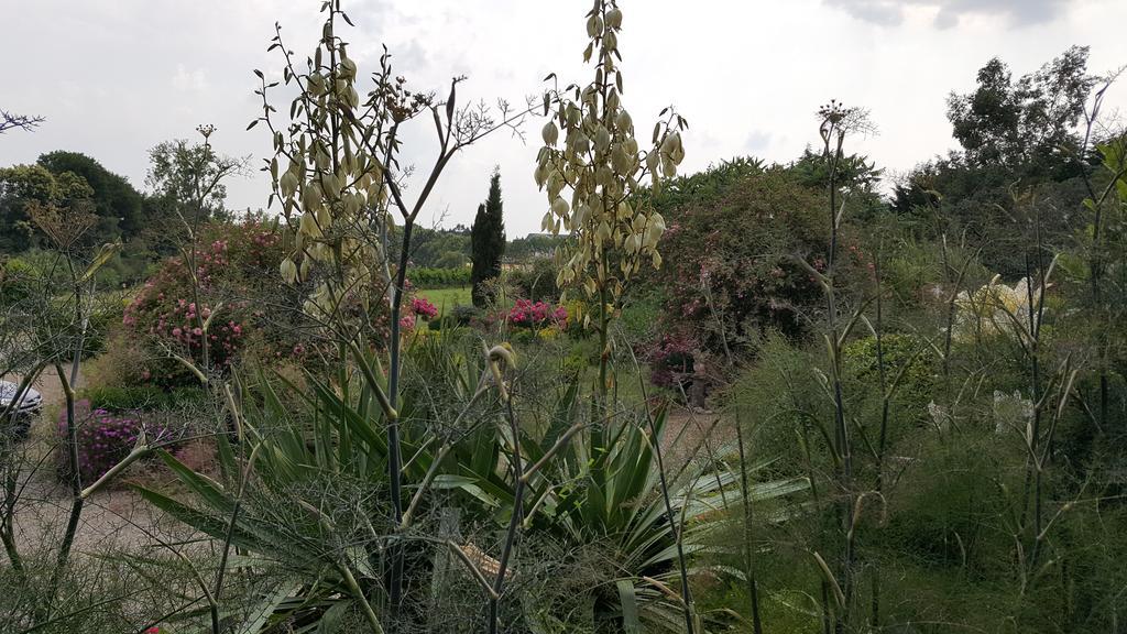 Manoir De La Branche Bed & Breakfast Maen Roch Екстериор снимка