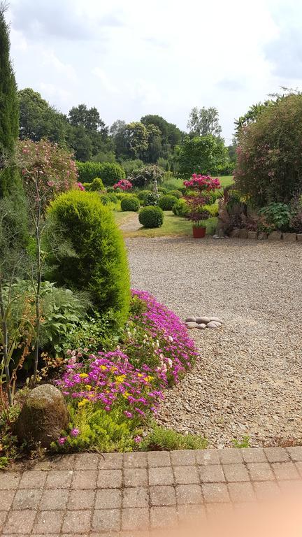 Manoir De La Branche Bed & Breakfast Maen Roch Екстериор снимка