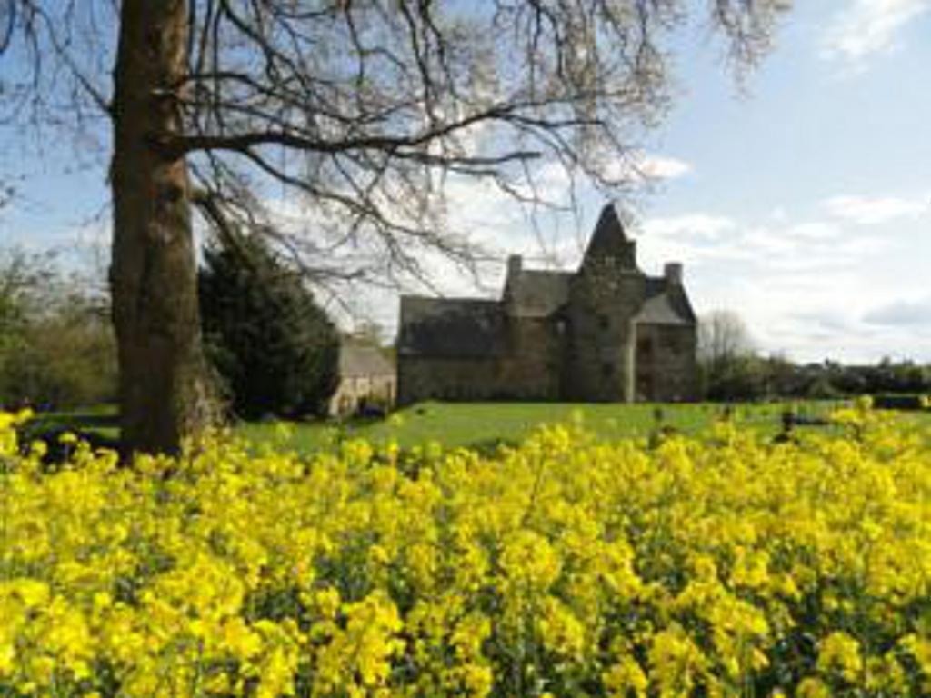 Manoir De La Branche Bed & Breakfast Maen Roch Екстериор снимка