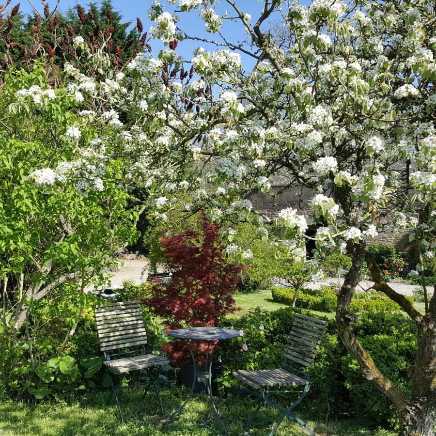 Manoir De La Branche Bed & Breakfast Maen Roch Екстериор снимка